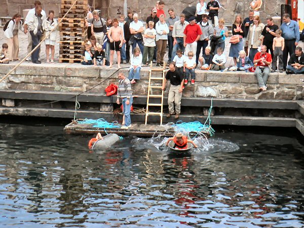 Allinge Harbour Festival